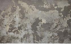 Photo Textures of Wall Plaster